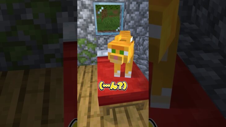 もし、人間が猫になったら・・・  #新人歌い手グループ #めておら #マイクラ #マインクラフト