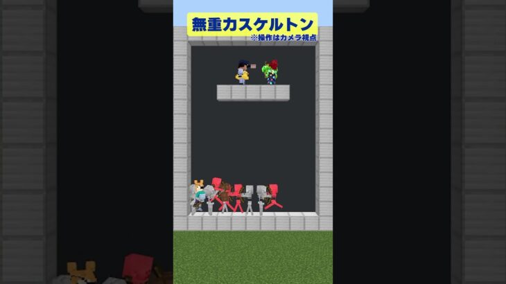 【マイクラ】ボタンを押すと生態が変わるスケルトン