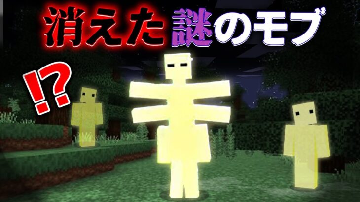 “消えた謎のモブ”の『マイクラ都市伝説』を検証した結果・・【まいくら,マインクラフト,解説,都市伝説】