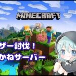 人ん家でウィザー討伐【マインクラフト】