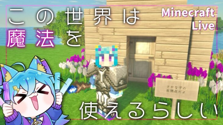 【 マイクラ配信】スキルは魔法に全振りだよね？