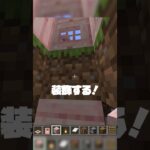 小さい家を作ってみた🏡✨！#マイクラ#マインクラフト #小学生