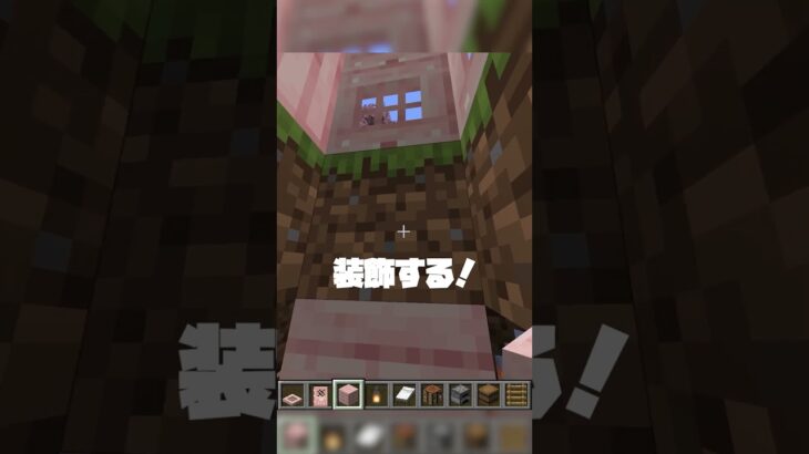小さい家を作ってみた🏡✨！#マイクラ#マインクラフト #小学生