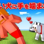 ことわざ進捗を達成しないと死ぬ世界でエンドラ討伐【マイクラ】