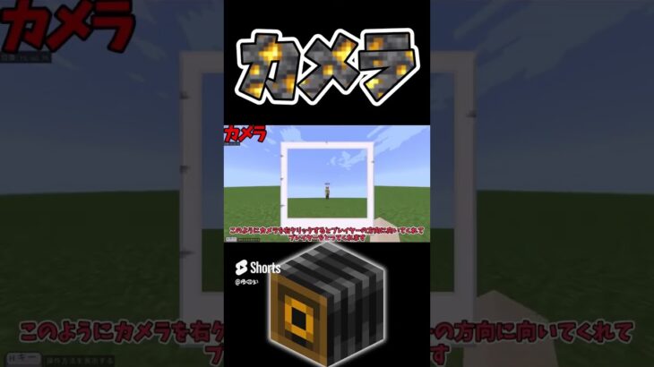 マイクラに存在するカメラ！【隠しアイテム】