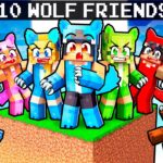 10 FRIENDS On ONE WOLF BLOCK in Minecraft!