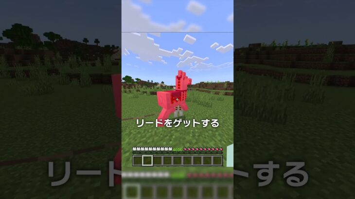 100%の人が知らない行商人の正しい使い方！【マイクラ豆知識 解説 裏技】
