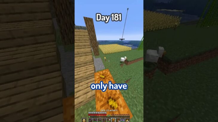 100 days – [Minecraft Hardcore] – Day 181 #minecraft #100days #devgen