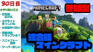 【統合版マインクラフト・参加型】10家分くらいは街広げるか【ういろうch】