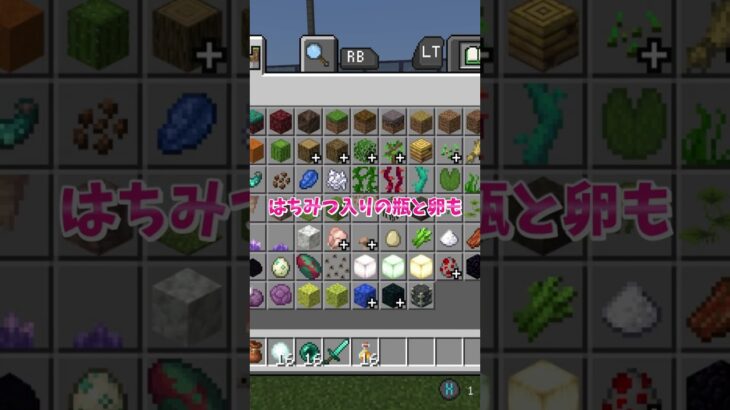 【マイクラ】神機能実装、バンドルの使い方2 #いるクラ #マイクラ #shorts