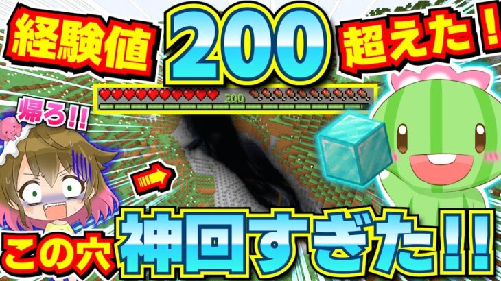 【神回】マイクラ史上最大の挑戦？200経験値のららんを守って洞窟ダイヤ探し！Part31【統合版】