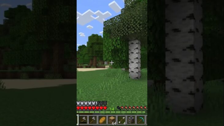 【マイクラ】初心者必見！スティーブ都市伝説を語る（マイクラサバイバル4）#いるクラ #マイクラ #shorts
