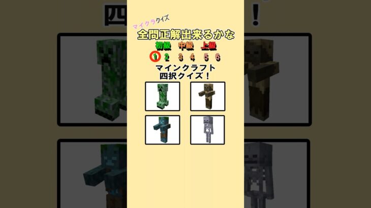 99%が間違える？マイクラクイズ！ #クイズ #暇つぶし #マインクラフト #マイクラ #4択クイズ