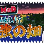 【マイクラ】工業農業なんでもある世界ですべてを手に入れる！【 All the mods 9 / MOD実況】#12