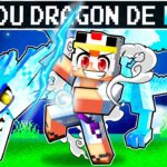 Devenir le ROI du DRAGON de la LUNE sur Minecraft !