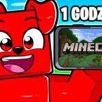 GRAM w MINECRAFT przez 1 GODZINĘ…