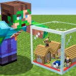 I Trapped My Friends in a TINY Minecraft Village