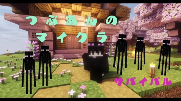 【つぶあんのマイクラ】 まだまだ序盤！　マインクラフトJAVA版　MODあり