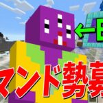 アッシーの代わりに活躍してくれるコマンド勢を募集します – マインクラフト【KUN】