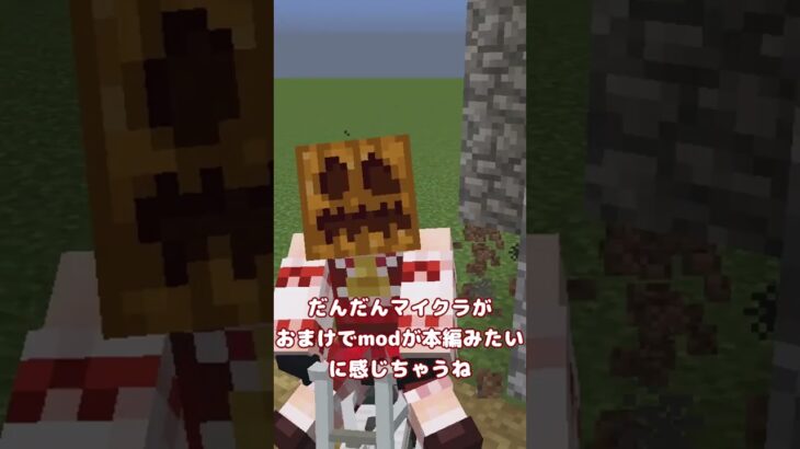 MOD導入あるある編 その10　特別版　 #マインクラフト #shorts #ゆっくり