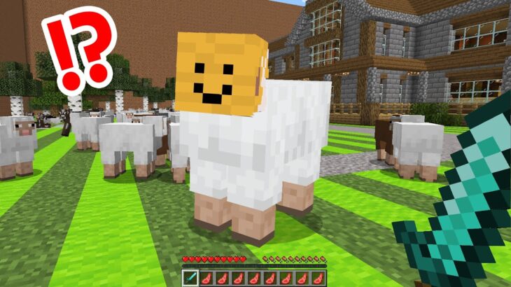 【マインクラフト😜】動物に変身して鬼から逃げきれ！？「へんしん鬼ごっこ」【マイクラMOD実況】