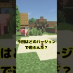 MOD導入あるある編 その7 #マインクラフト #shorts #ゆっくり