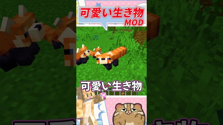 【マイクラ MOD】可愛い生き物を追加するMOD【Critters and Companions】#shorts