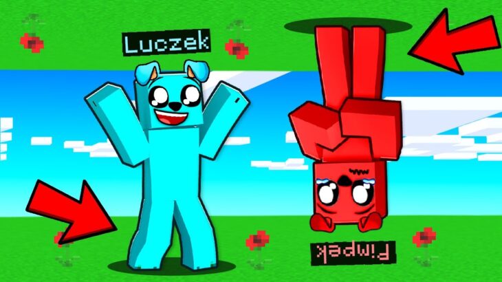 Minecraft DO GÓRY NOGAMI 😲😲