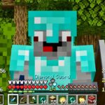 ⚰ Minecraft Helden