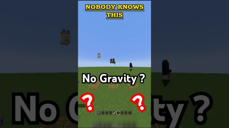 Minecraft Nobody Knows This (はいよろこんで) #minecraft #shorts #viral