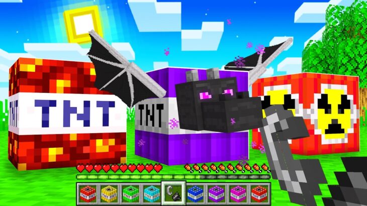 Minecraft but TNT is Super Overpowered