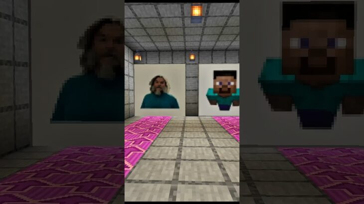 Minecraft movie Steve?