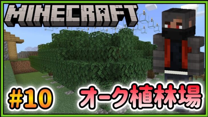 【#Minecraft】#10 家を造るために植林場！【マイクラ初心者】