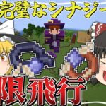 【Minecraft】#2 とある2つのアクセサリーを組み合わせたら無限に飛べるんだけど！？～強敵を消し飛ばしてゆく魔法世界生活～【ゆっくり実況】