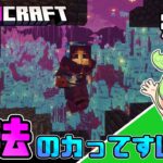 【Minecraft】バフにデバフに拘束に！魔法で敵を殲滅だ！【DawnCraft】.mp8【ずんだもん実況】