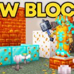 NEW RESIN BLOCKS + EYEBLOSSOMS Added To The New Minecraft Update!