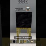 OLD TV 📺 ! (はいよろこんで) #minecraft #shorts