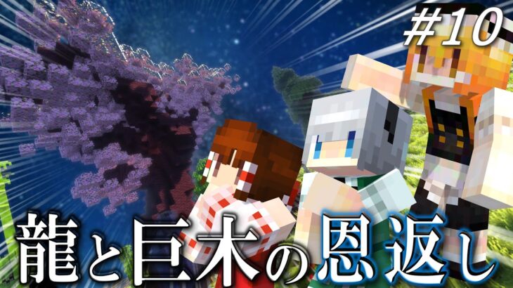 【ゆっくり実況】龍と巨木とエンドラと 龍と生きる魔法生活 Part10【Minecraft】