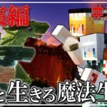 【ゆっくり実況】～龍と生きる魔法生活～総集編 Part1～Part10【Minecraft】