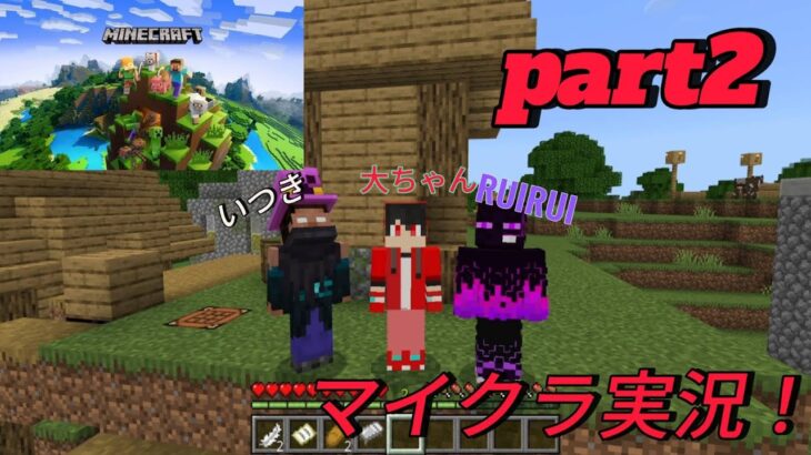 ついにRUIRUIが家を作る！？【マインクラフト】#マイクラ #マイクラサバイバル