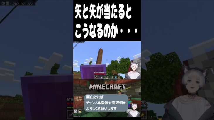 矢と矢が当たるとこうなるのか・・・ #マインクラフト #スイカSC #Vtuber #shorts