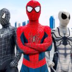 Spider-Man: Into The Spider-Verse (2024) | DEADPOOL & WOLVERINE – Sonic the Hedgehog 3 – Minecraft