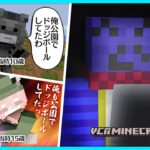 【#VCRマイクラ】14年間パソコンの前でしゃべってた狂気の男らっだぁと公園でドッジボールしてた少年バニラ｜3日目③【#らっだぁ切り抜き】