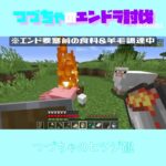 【マイクラ】つづちゃのヒツジ観　 fromつづちゃのエンドラ討伐！2024/09/08　#Minecraft　#Shorts