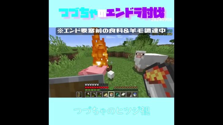 【マイクラ】つづちゃのヒツジ観　 fromつづちゃのエンドラ討伐！2024/09/08　#Minecraft　#Shorts