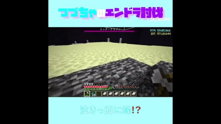 【マイクラ】泣きっ面に蜂！？　 fromつづちゃのエンドラ討伐！2024/09/09　#Minecraft　#Shorts