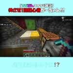 【マイクラ】君も乗れるんやね！？　 fromつづぽん裏作業2024/10/22　#Minecraft　#Shorts