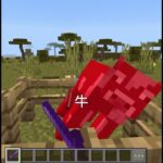 エンチャントネザライト剣で死なないのはどれでしょう #minecraft #マイクラ #マインクラフト