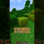 ブロックを置いたらランダムに変わっちゃう世界 #マイクラ #マインクラフト #minecraft