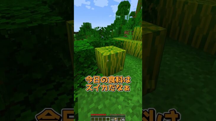 ブロックを置いたらランダムに変わっちゃう世界 #マイクラ #マインクラフト #minecraft